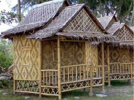 hình